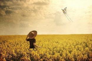 人生如此多娇（风吹过的夏天）,风吹过的夏天，谱写青春华章