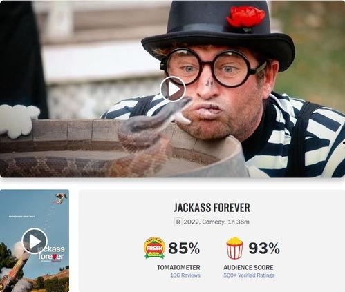 蠢蛋搞怪到永远,重温蠢蛋搞怪到永远的疯狂之旅